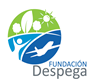 Despega logo